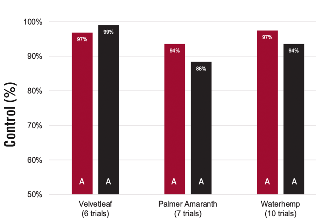 Palmer Amaranth and Waterhemp comparison chart