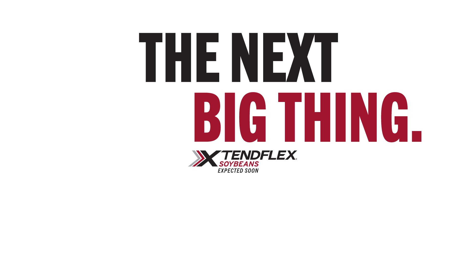 The Next Big Thing
