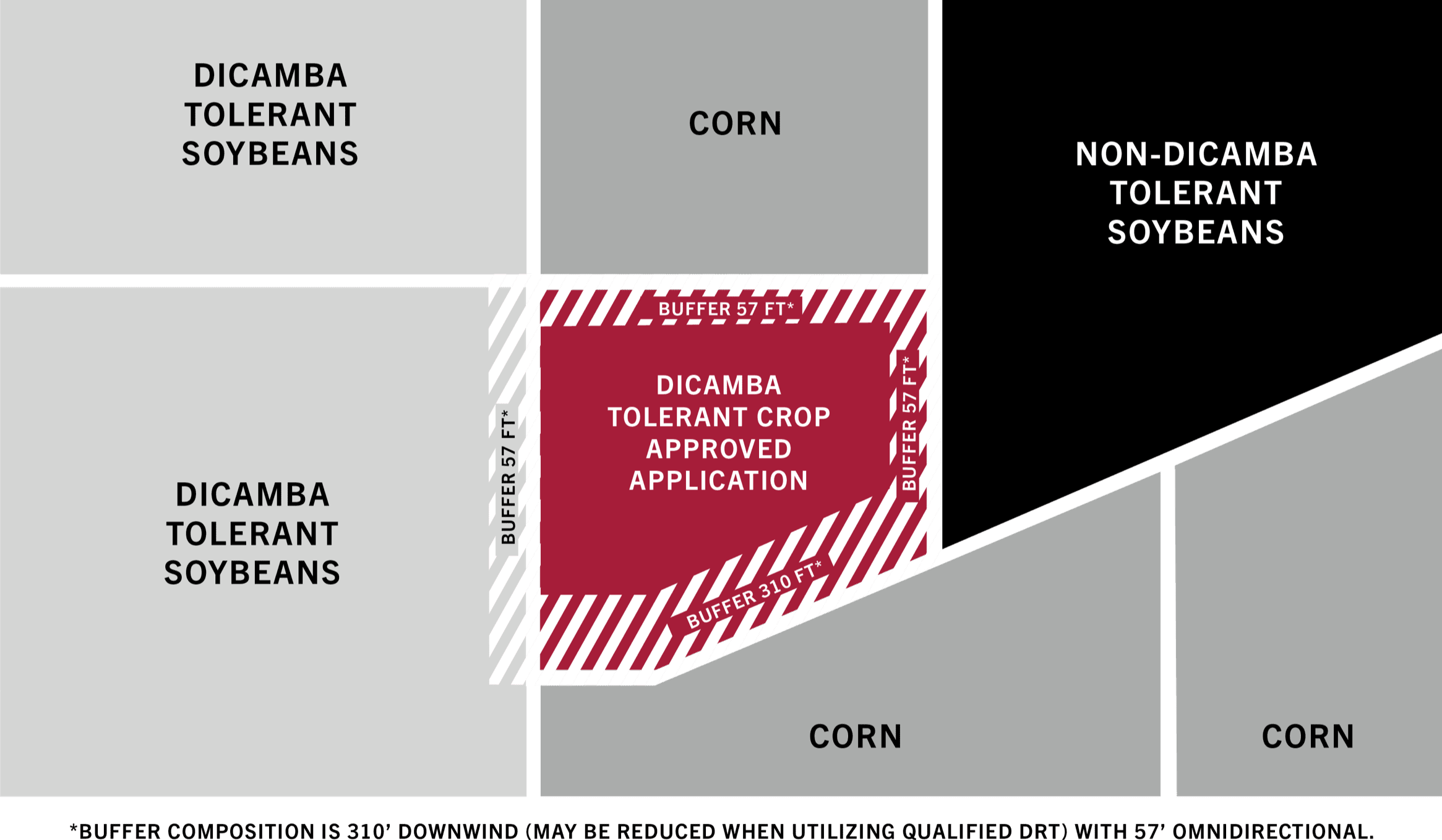 Diagram showing field layout and dicamba tolerant area