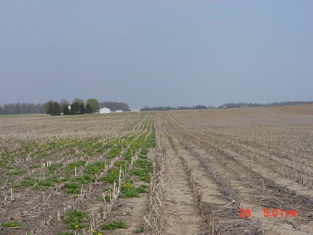 fall-applied-herbicide-burndown.jpeg